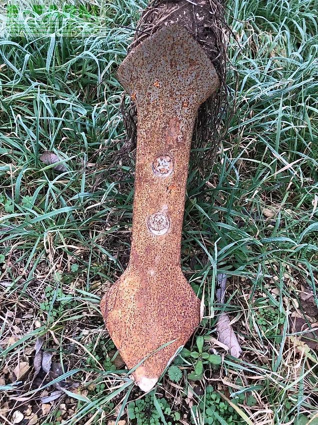 Quivogne maxiculteur 9d