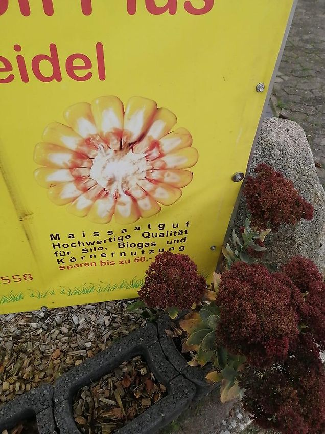 Amazone Kverneland Fahrgestell für Anbaudüngerstreuer Fahrgestell für Dreipunktanbaugerät Fahrgestell zum Afsatteln bon Anbaugeräten mt Zapwellenbock und Dreipunktanbau 2500k Gesamtgewicht Bereifung 500/50-17