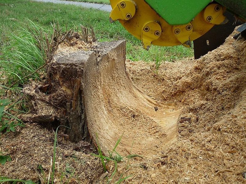 Laski Stubbenfräse Stockfräse Baumstumpffräse Wurzelstockfräse